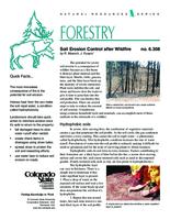 Soil erosion control after wildfire