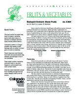 Backyard orchard : stone fruits
