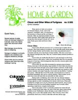 Clover and other mites of turfgrass