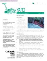 Ground cover plants