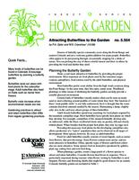 Attracting butterflies to the garden