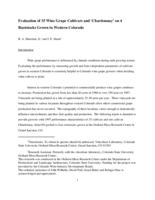 Evaluation of 35 wine grape cultivars and 'chardonnay' on 4 rootstocks grown in western Colorado