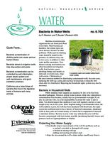 Bacteria in water wells