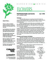 Fall-planted bulbs and corms