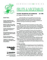 Currants, gooseberries, and jostaberries