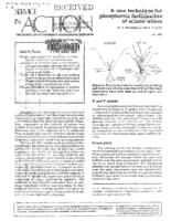 A new technique for phosphorus fertilization of winter wheat