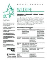 Farming and pheasants in Colorado
