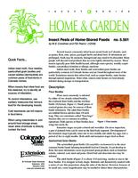Insect pests of home-stored foods
