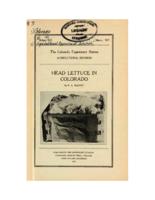 Head lettuce in Colorado