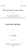 Cantaloupe breeding