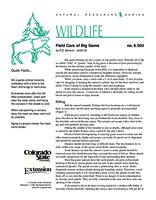 Field care of big game