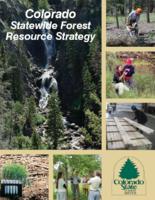Colorado statewide forest resource strategy