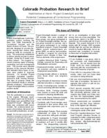 Habilitation or harm : project greenlight and the potential consequences of correctional programming
