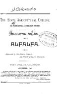 Alfalfa