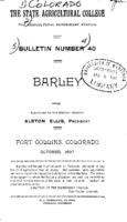 Barley
