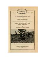 Beans in Colorado and their diseases