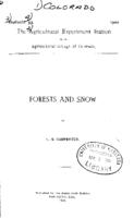 Forests and snow