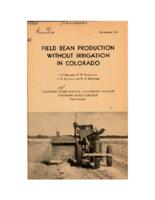 Field bean production without irrigation in Colorado