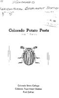 Colorado potato pests