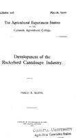 Development of the Rockyford cantaloupe industry