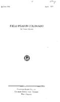 Field peas in Colorado