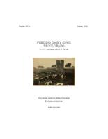 Feeding dairy cows in Colorado