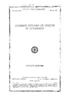 Common diseases of onions in Colorado