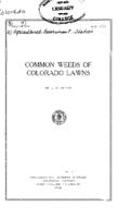 Common weeds of Colorado lawns