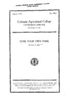 Cure your own pork