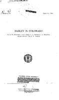Barley in Colorado
