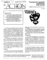 Commercial vegetable production. Bulb onions