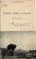 Growing alfalfa in Colorado