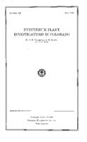 Pyrethrum plant investigations in Colorado