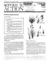 Buffalo grass lawns
