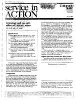 Growing turf on salt-affected (alkali) sites