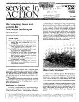 Xeriscaping : trees and shrubs for low-water landscapes