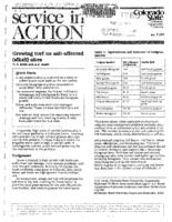 Growing turf on salt-affected (alkali) sites