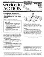 Cucumbers, pumpkins, squash, muskmelons, and watermelons for the home garden