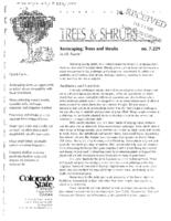 Xeriscaping : trees and shrubs