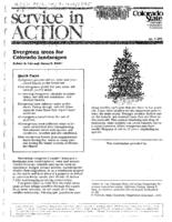 Evergreen trees for Colorado landscapes