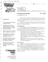 Ground cover plants