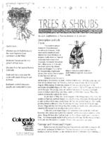 Western spruce budworms