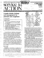 Canada thistle : biology and management in pastures and rangeland