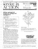 Diffuse and spotted knapweed : biology and management