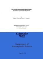 The role of convective-scale processes in tropical cyclone development