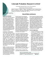 Outcomes among drug court participants : does drug of choice matter