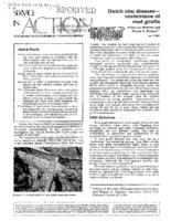 Dutch elm disease : occurrence of root grafts