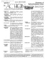 Glossary of beef performance terms