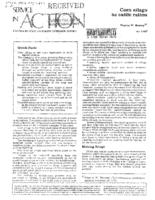 Corn silage as cattle ration