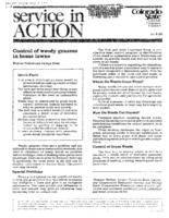 Control of weedy grasses in home lawns